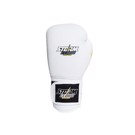 StormCloud PRO Boxing gloves - white
